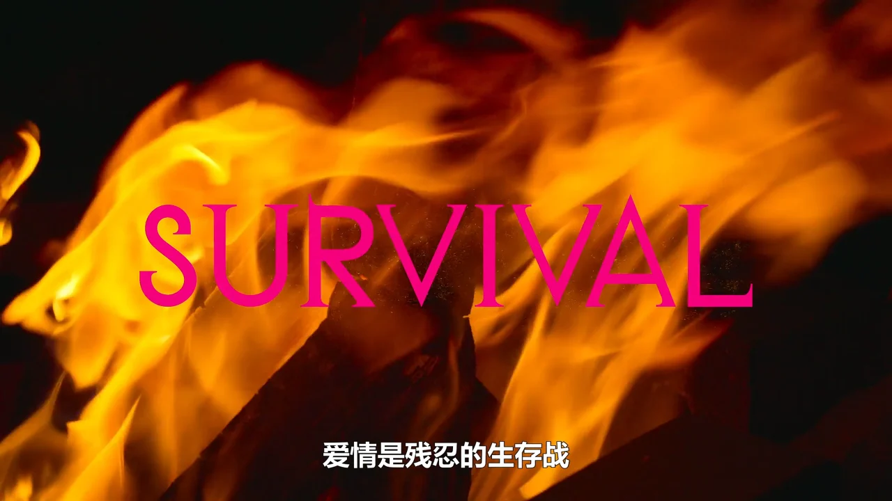 《单身即地狱/Single’s Inferno》第四季 全12集 高清韩语中字 网盘下载 - 图片 1