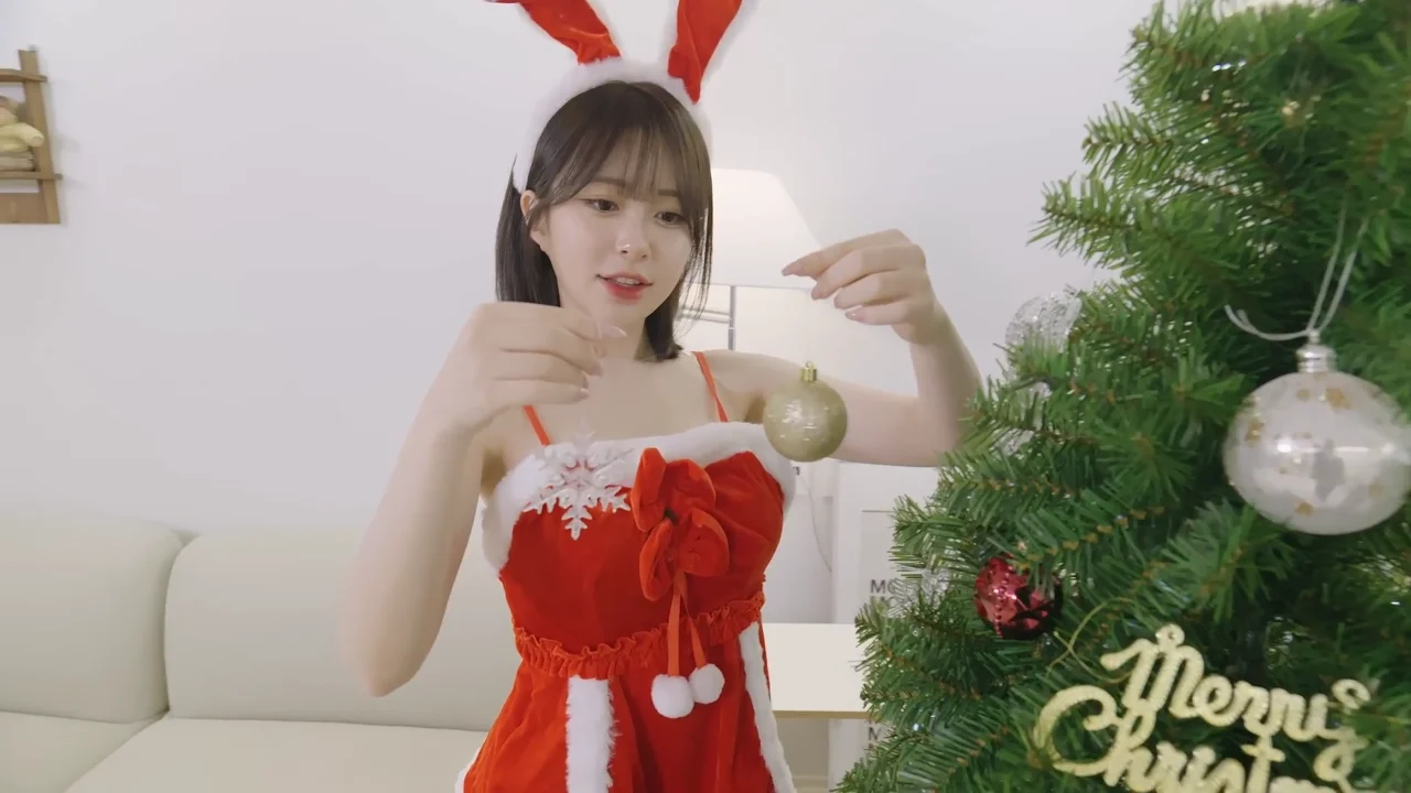 《献给圣诞节依旧单身的你:制作圣诞树》EP2:装饰圣诞树的心动选择 | 简体中文精翻无删减 - 图片 5