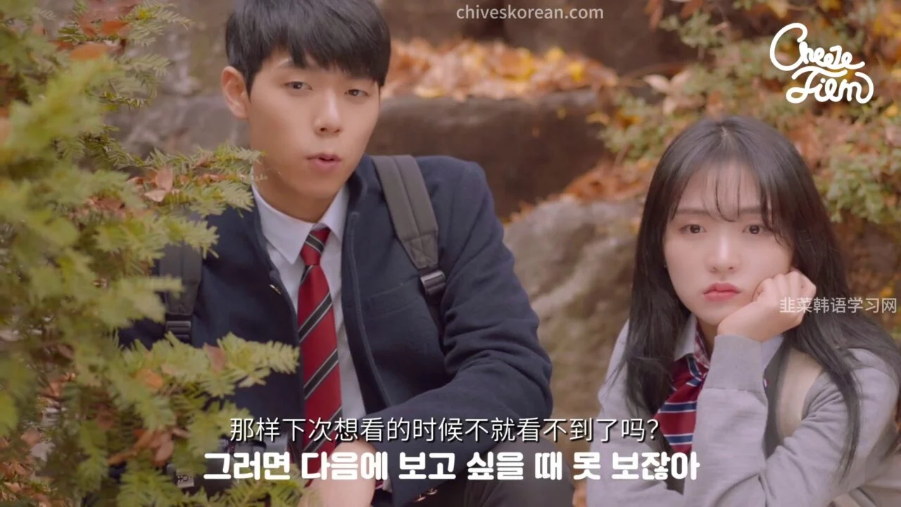 《共鸣》EP38：性格像男孩子的女性朋友的特征 - 图片 3