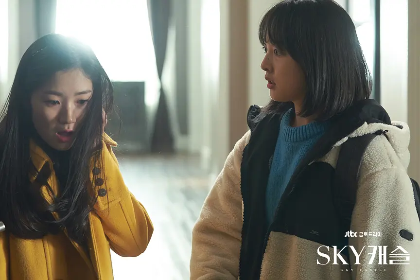 《天空之城/SKY Castle》2018年高分韩剧 豆瓣8.8分 全20集 韩语中字 超清1080P/4K 网盘下载 - 图片 4
