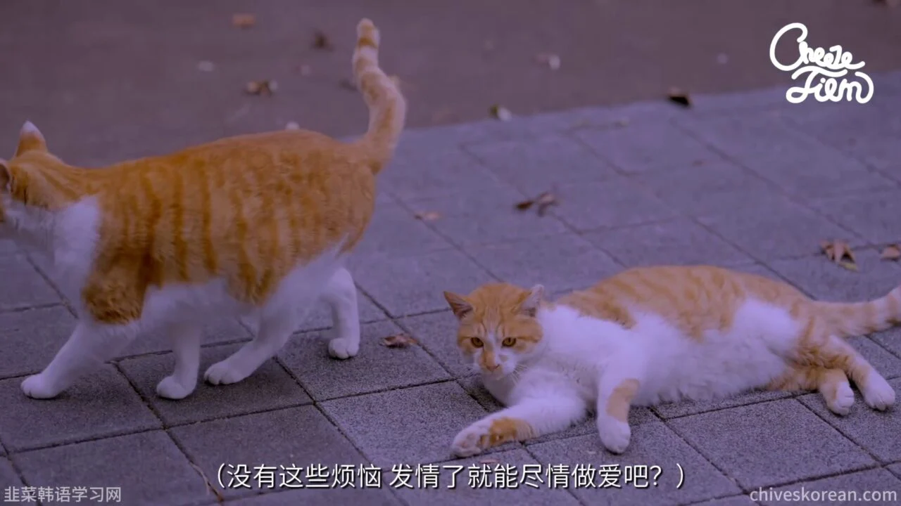 《与妹妹们的同居生活》EP5 最终话：和陌生大叔去山里找钱 - 图片 1